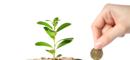 سرمایه گذاری